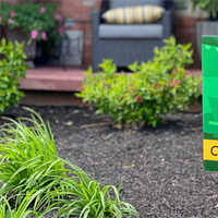 Parkland College Spring 2021 Graduates Announced