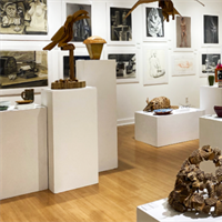 Parkland Art & Design Students Win Exhibition Awards, Scholarships