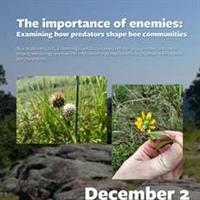 Bees and their Predators Next Kaler Science Talk