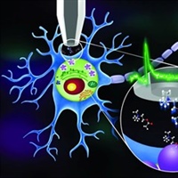 Brain Chemistry Topic of April Kaler Science Talk