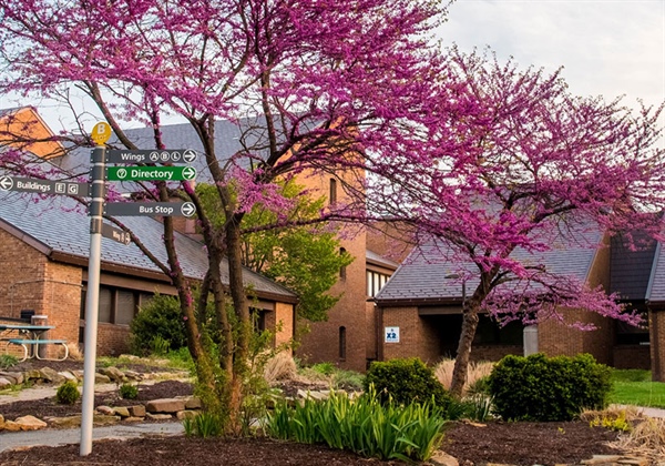 Parkland College to Host Spring Campus Visit Day