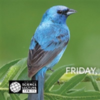Planetarium Kaler Lecture to Spotlight the Beauty of Birds