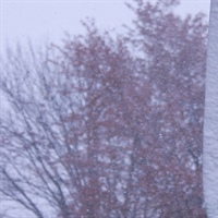 Campus Closure - Inclement Weather
