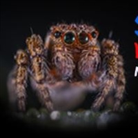 "Spiders" Topic of Planetarium Science Talk