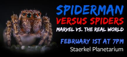 "Spiders" Topic of Planetarium Science Talk