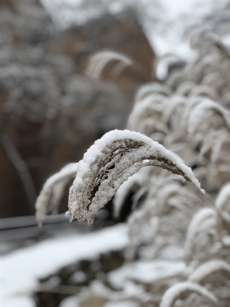 Campus Closure - Inclement Weather