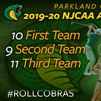 Seven Cobras Programs Earn Academic Honors From NJCAA