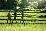 Boy, Girl Scout Merit Badge Workshops