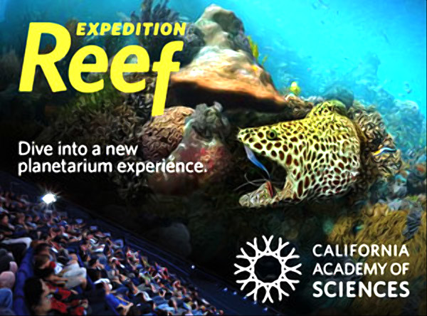 Expedition Reef