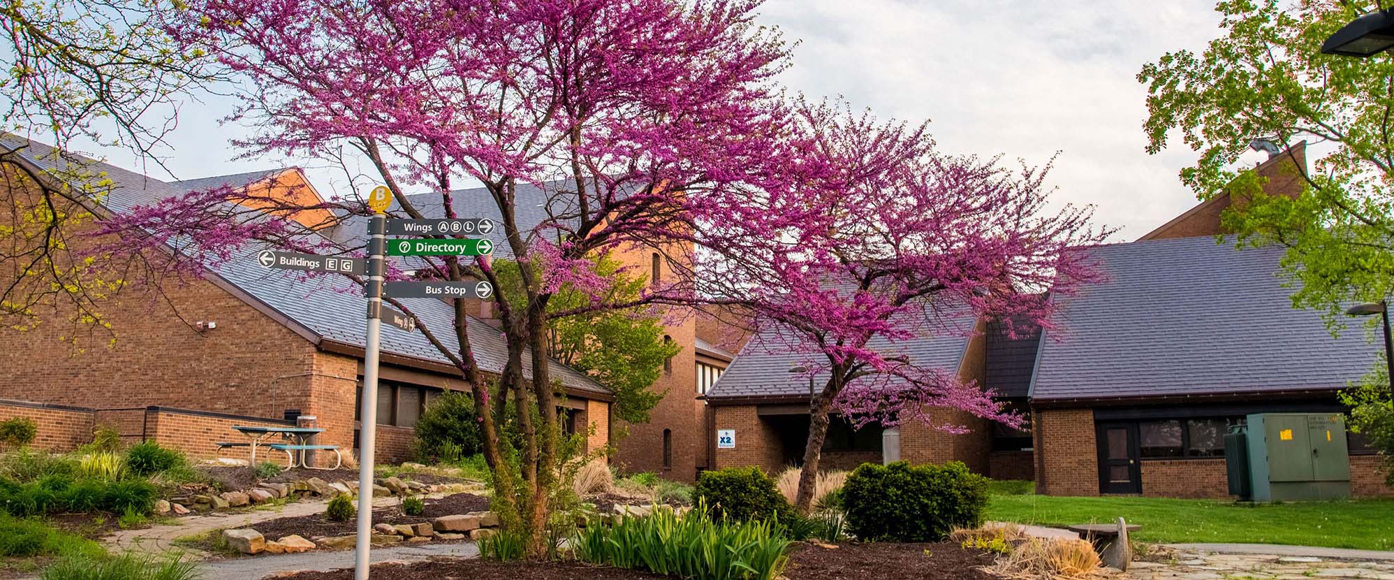 Exterior of College with Blossoming Floral Tree and Directional Sign