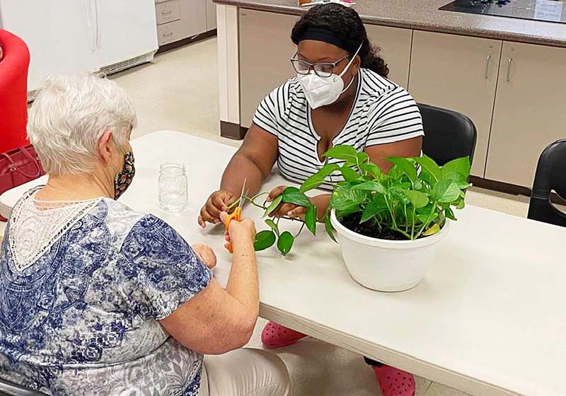 OTA student trimming plant with elderly woman