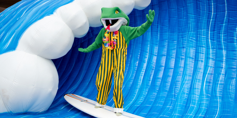 CobySurf%20reszie