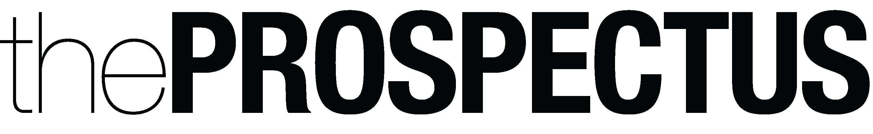 prospectus